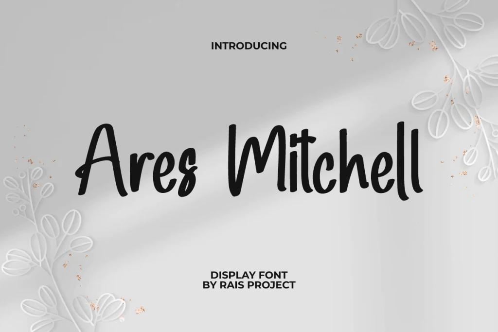 Ares Mitchel Demo illustration 2