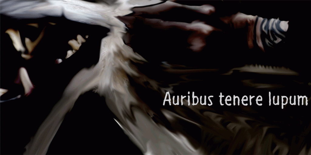Auribus tenere lupum illustration 1
