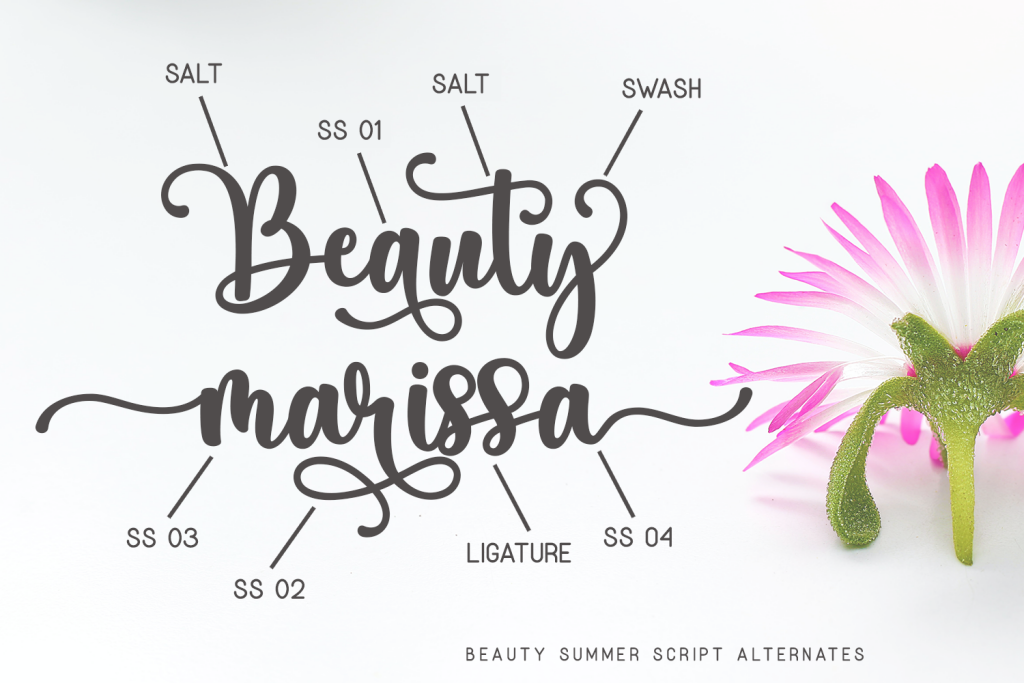 Beauty Summer illustration 11