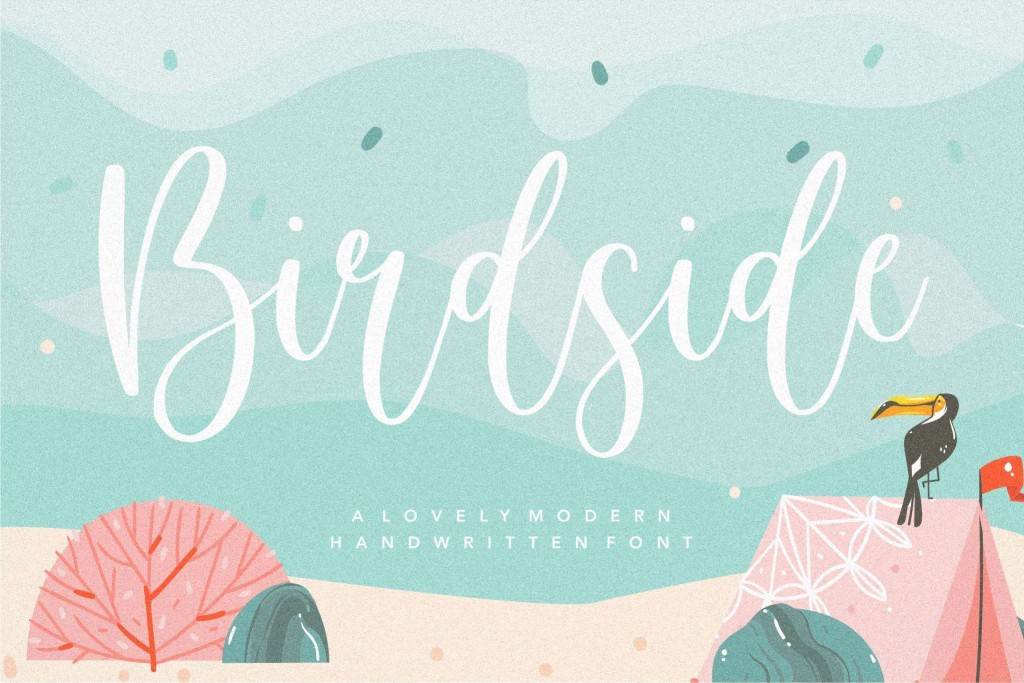 Birdside illustration 8