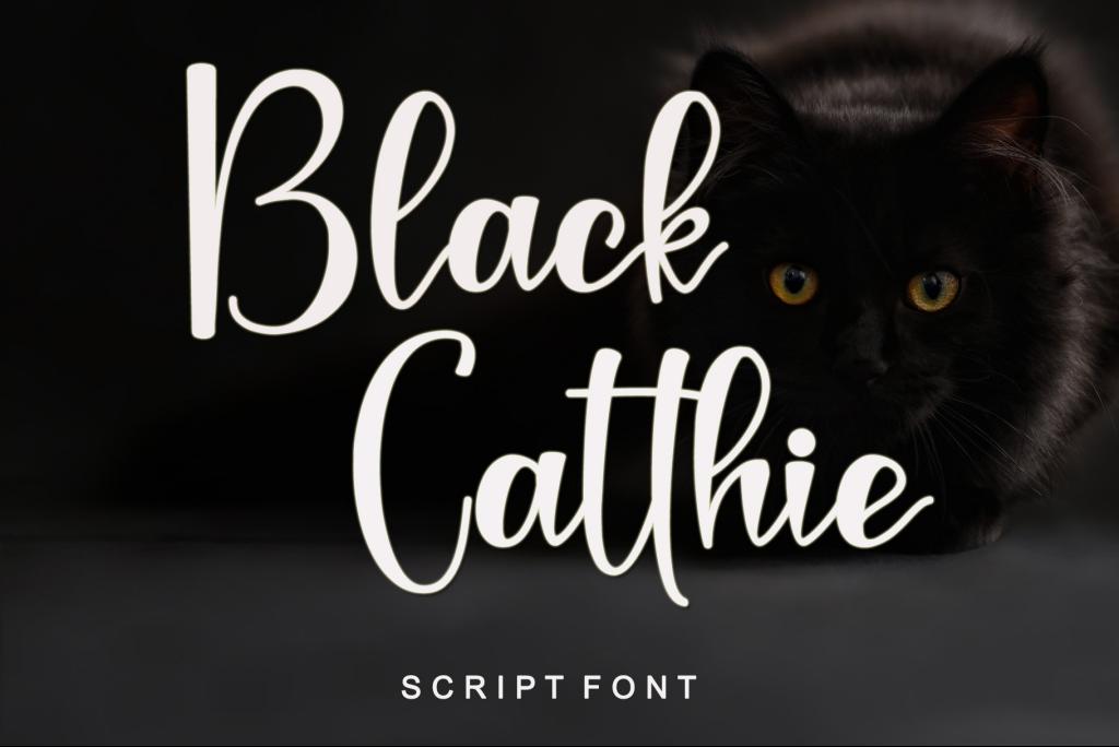 Black Catthie - Personal Use illustration 1