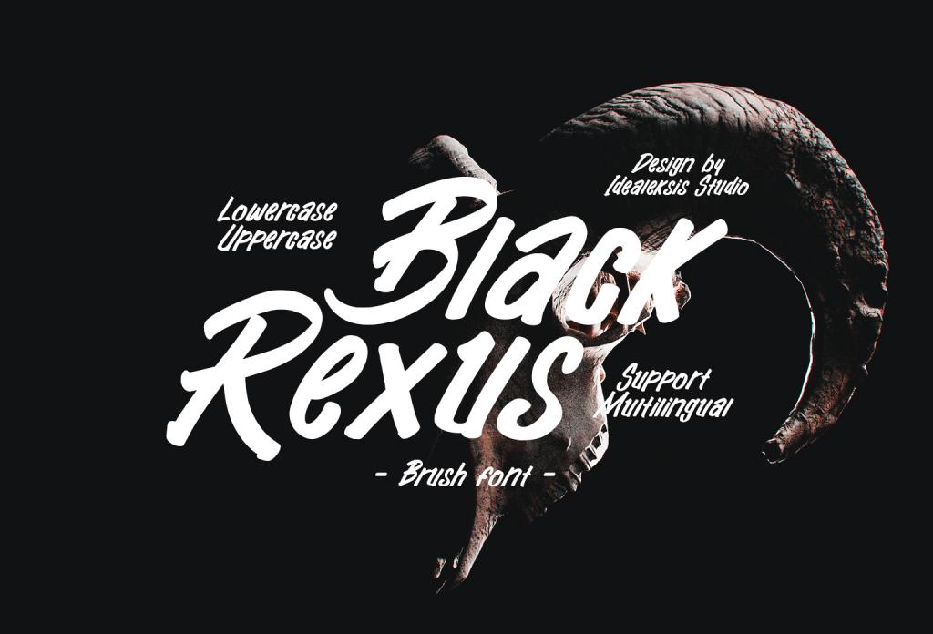 Black Rexus DEMO illustration 4