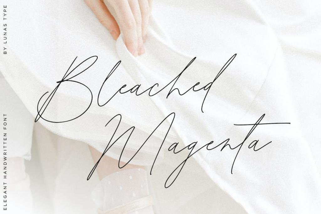 Bleached Magenta illustration 2