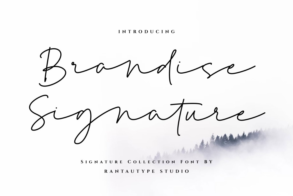 Brandise Signature illustration 2