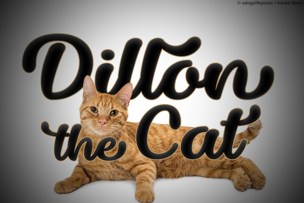 Dillon the Cat illustration 2