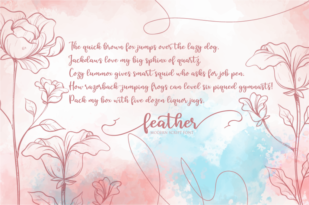 feather illustration 4