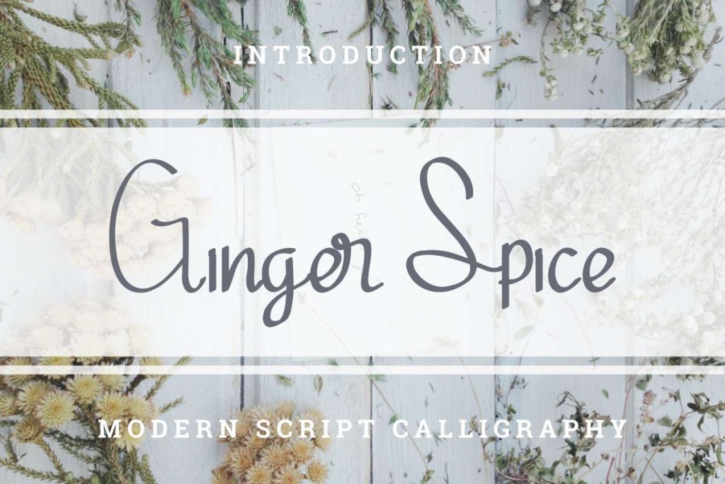 Ginger Spicedemo illustration 12
