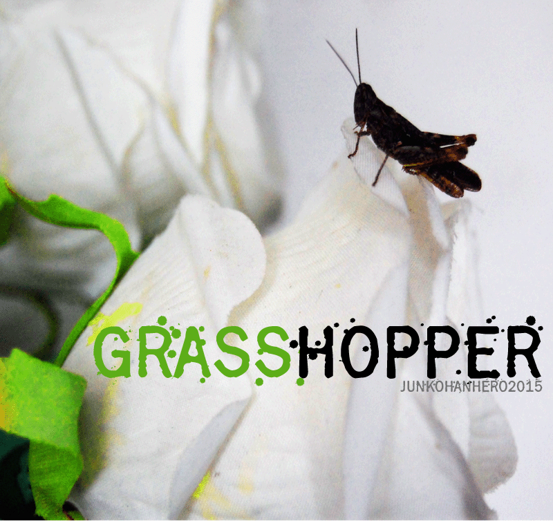 Grasshopper Z illustration 1