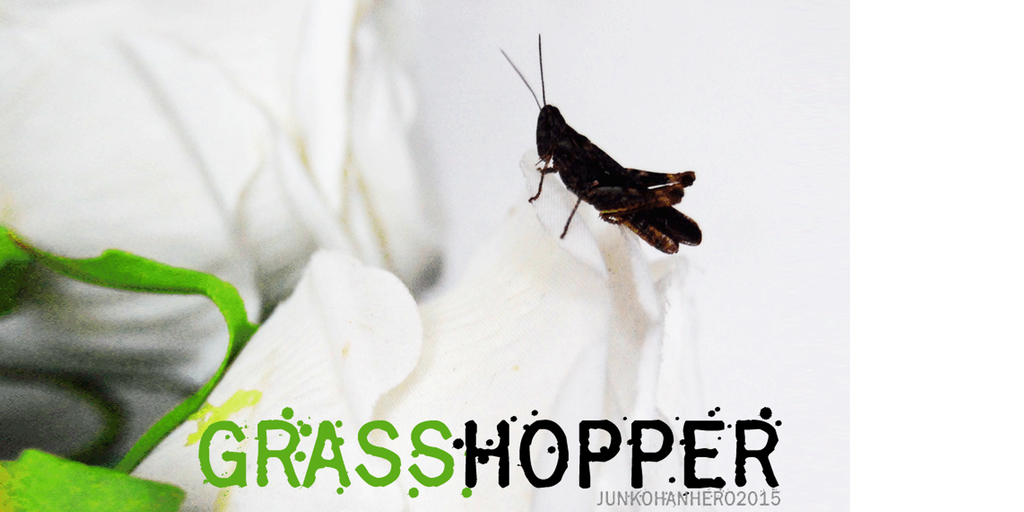 Grasshopper Z illustration 2