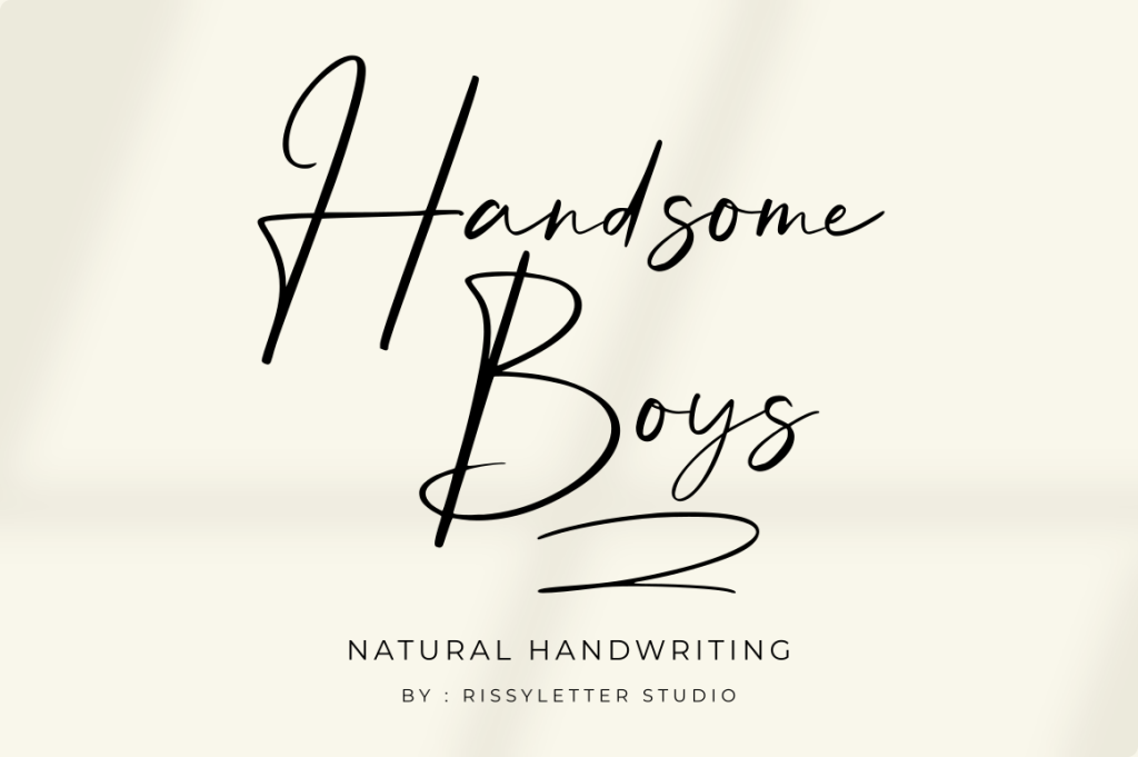 Handsome Boys illustration 2