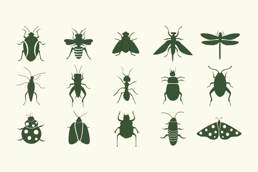 Insect Az illustration 1