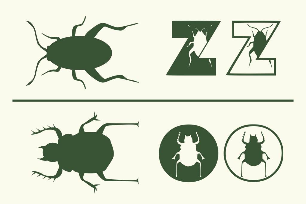 Insect Az illustration 6