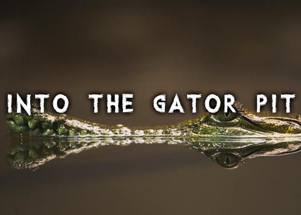 Into the Gator Pit illustration 2
