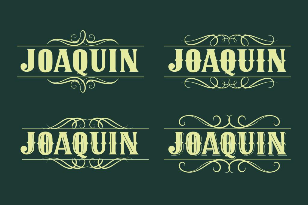 JOAQUIN illustration 4