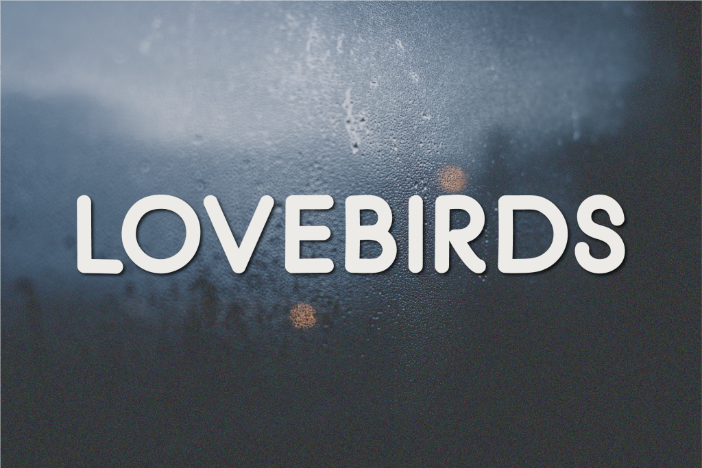 Lovebirds illustration 2