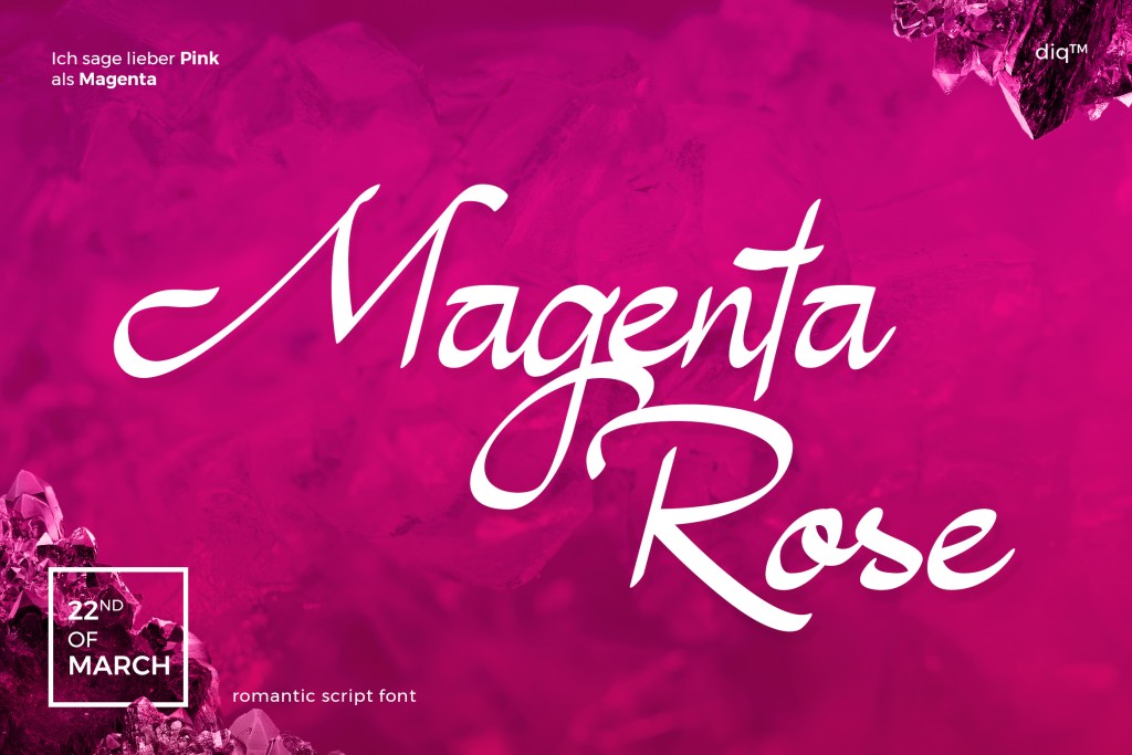 Magenta Rose illustration 12