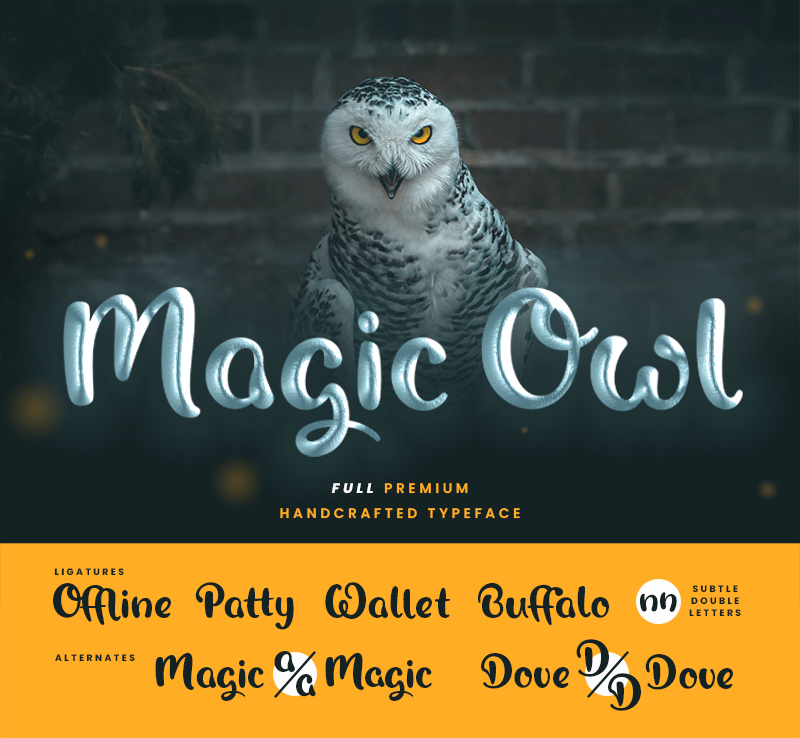 Magic Owl illustration 1
