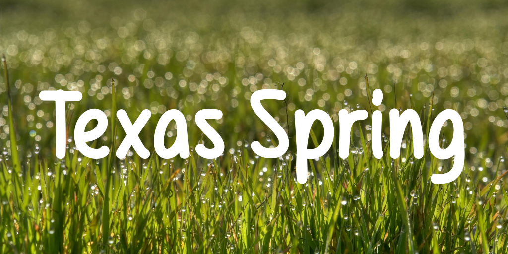 Texas Spring illustration 7