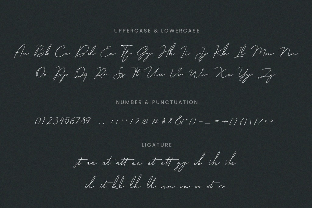 Milano Signature Script Font illustration 11
