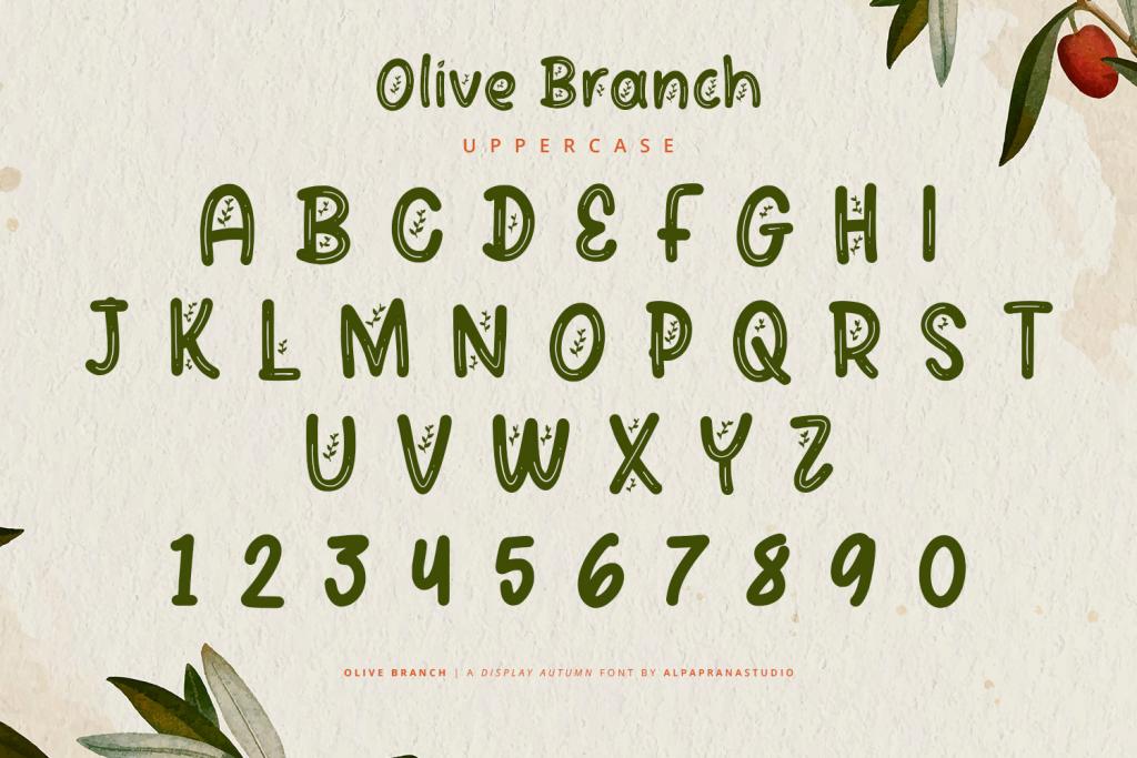 Olive Branch illustration 11
