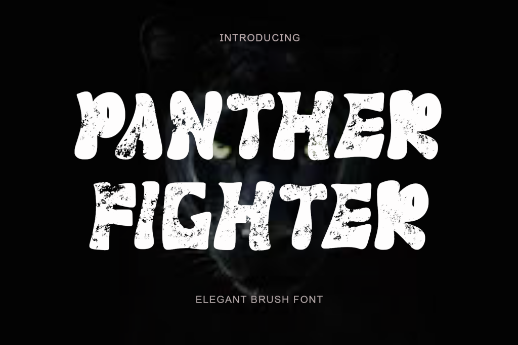 Panther Fighter illustration 1