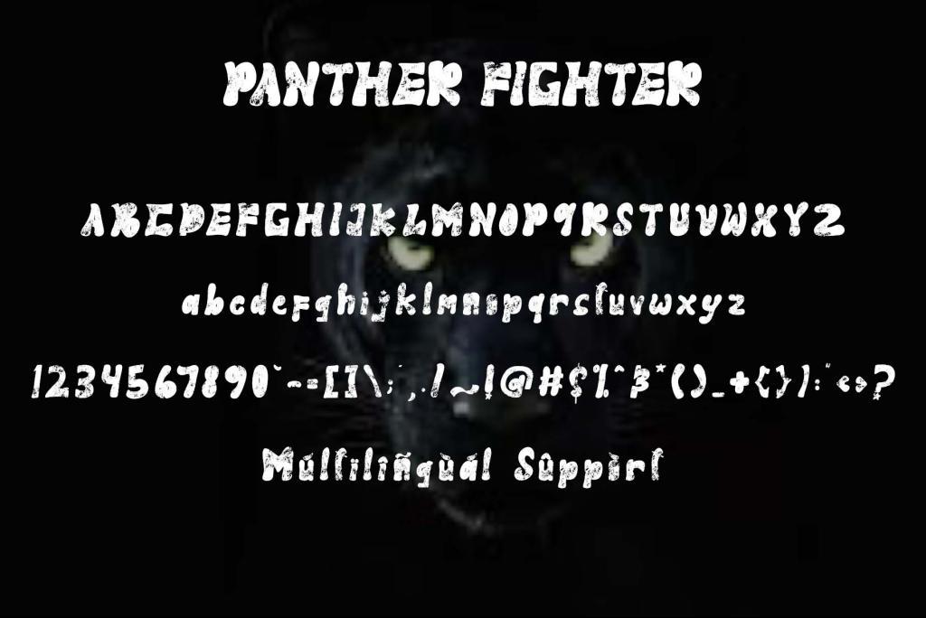 Panther Fighter illustration 2