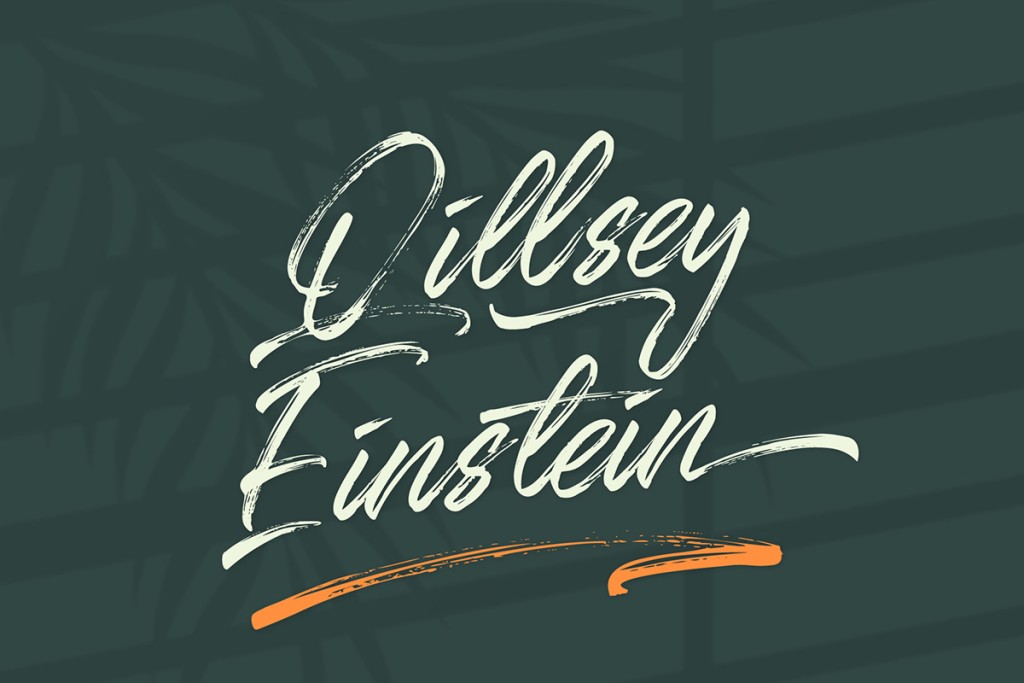 Qillsey Einstein illustration 7