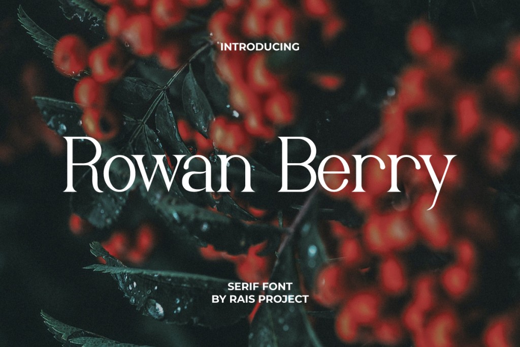 Rowan Berry Demo illustration 2