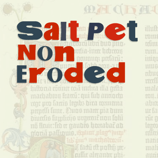 Salt Pet Non Eroded illustration 2