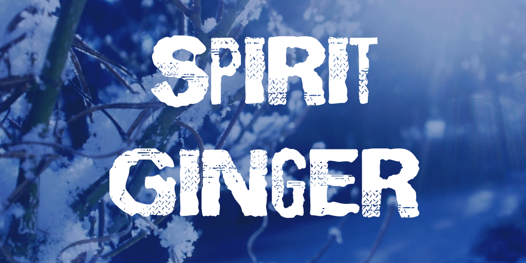 Spirit Ginger illustration 3