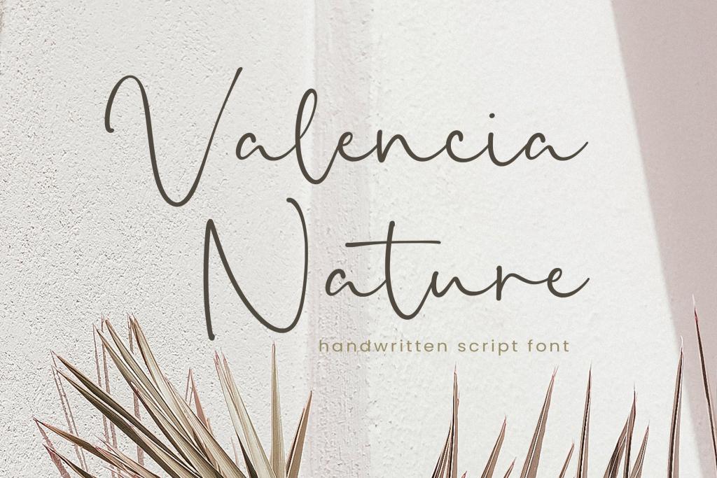 Valencia Nature illustration 2