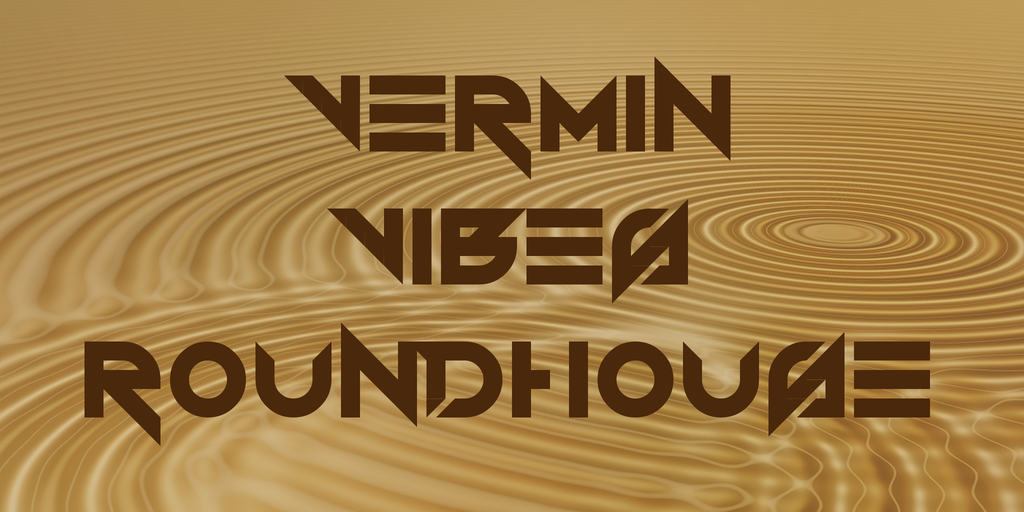 Vermin Vibes Roundhouse illustration 2