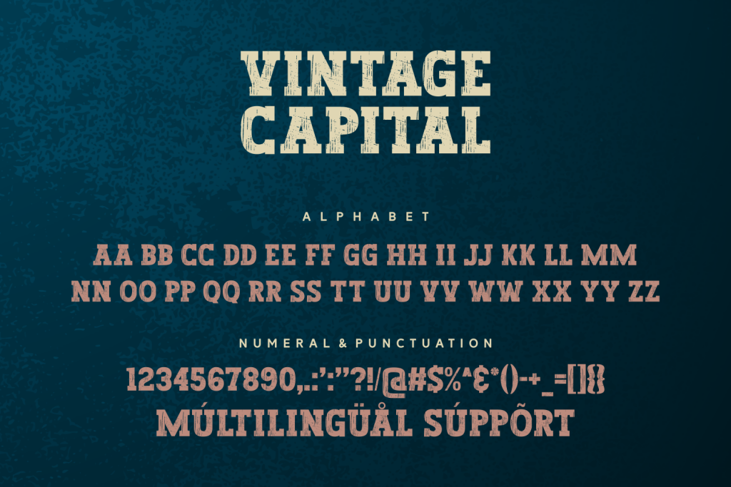 Vintage Capital illustration 2