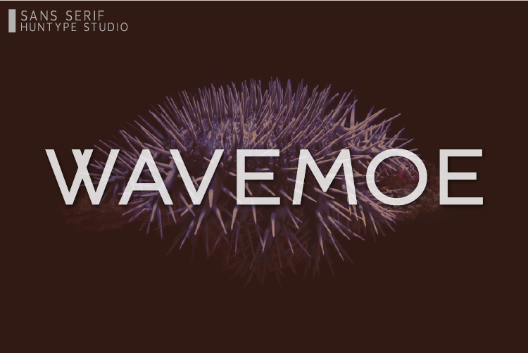 Wavemoe illustration 3