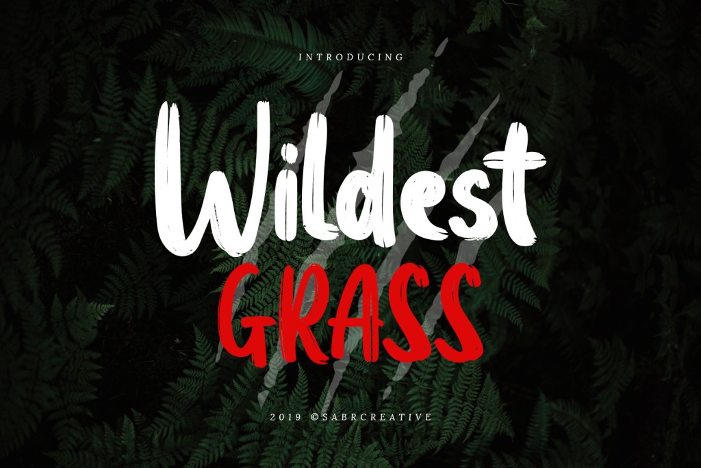 Wildest Grass Demo illustration 2