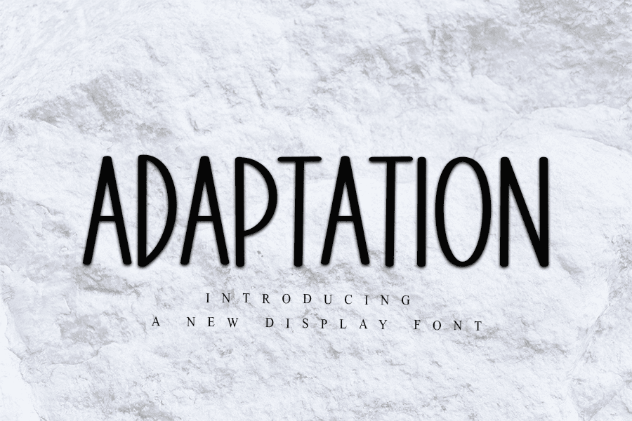 ADAPTATION Font · 1001 Fonts