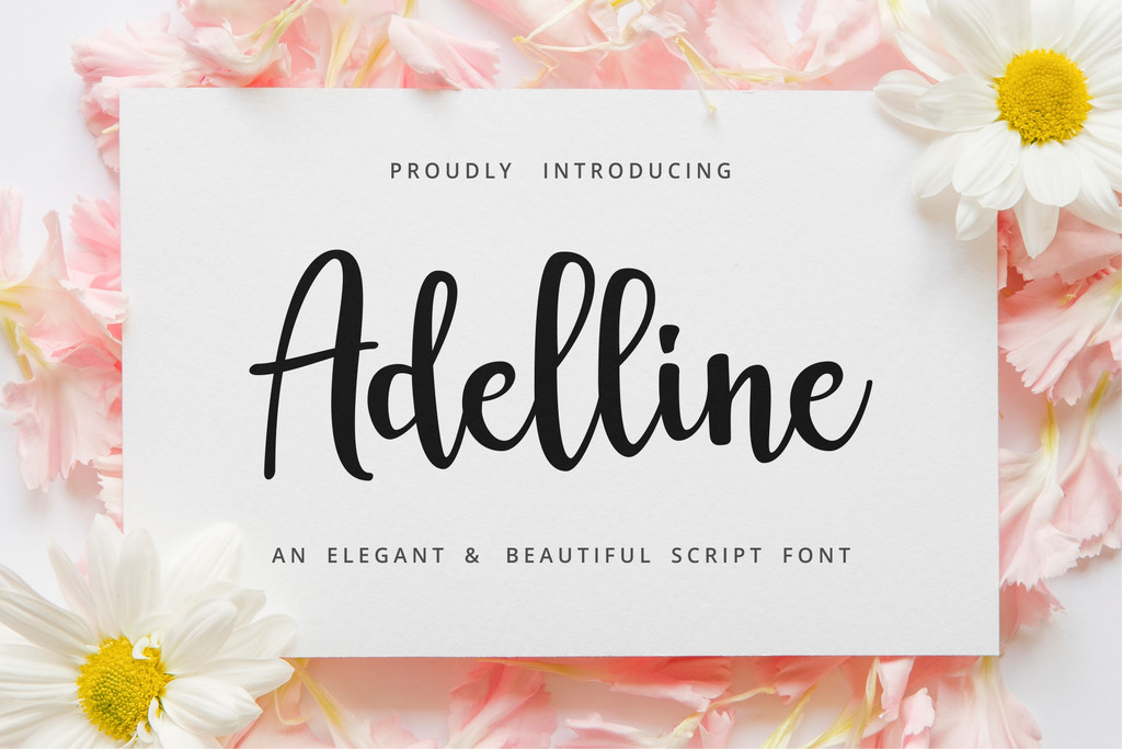 adelline personal use only illustration 13