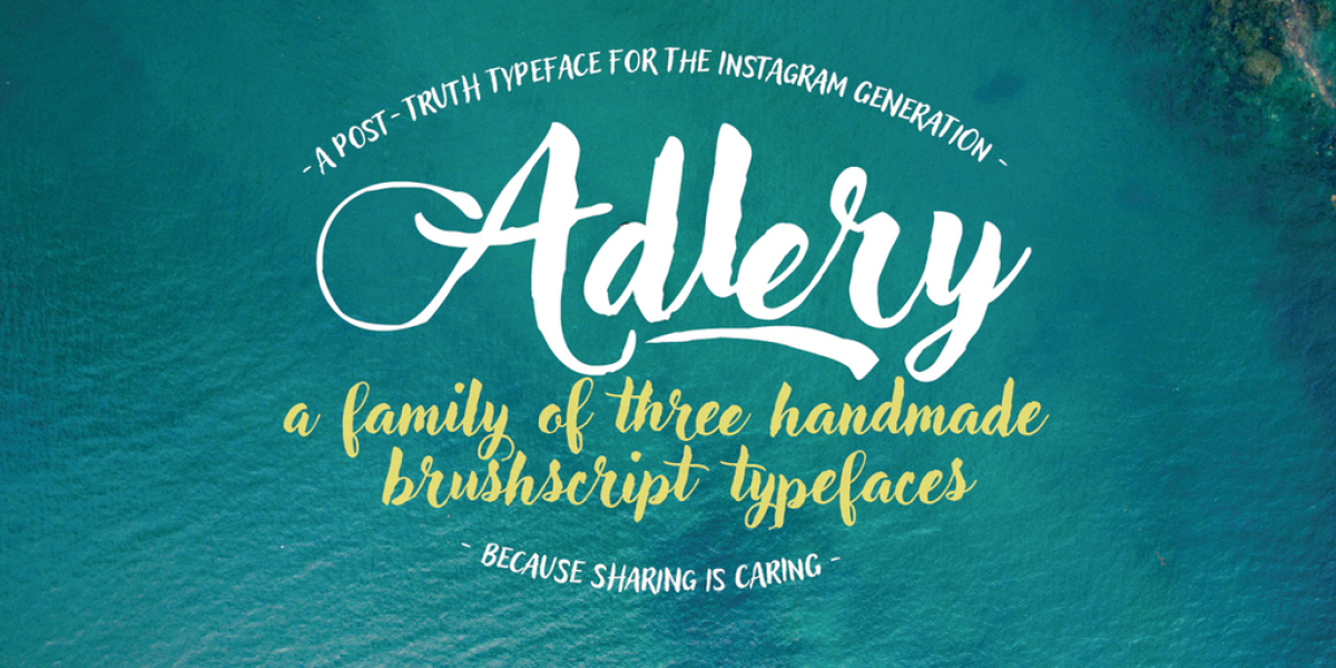 Adlery Pro illustration 6