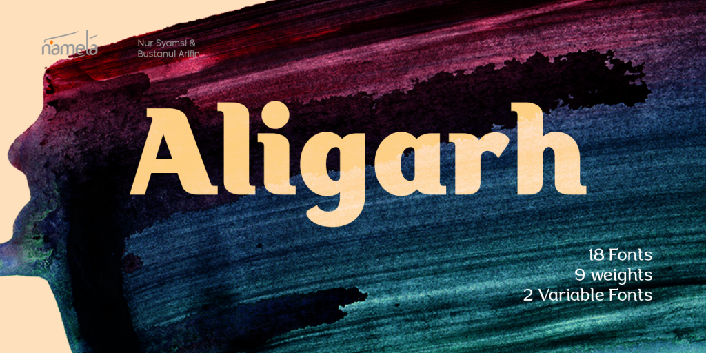 Aligarh DEMO illustration 6