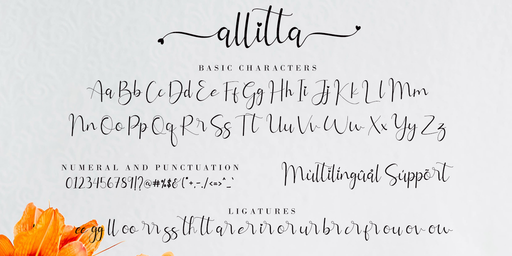 Allitta Calligraphy illustration 8