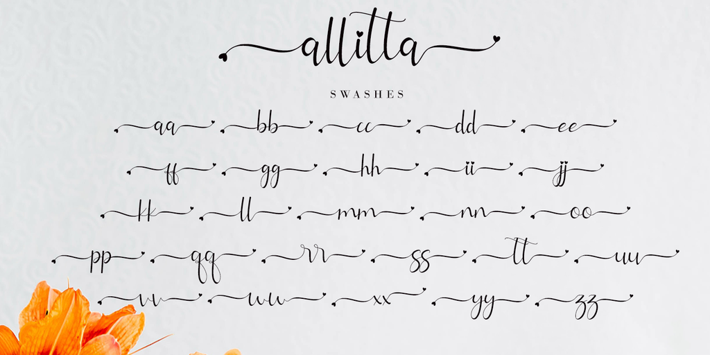Allitta Calligraphy illustration 9