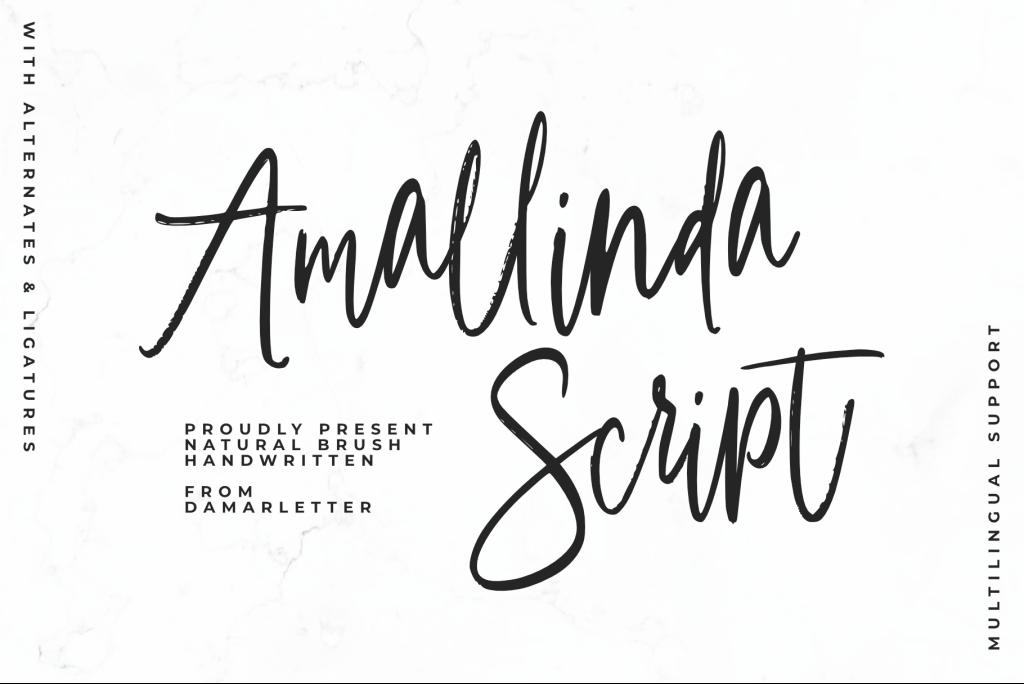 Amallinda Script illustration 2