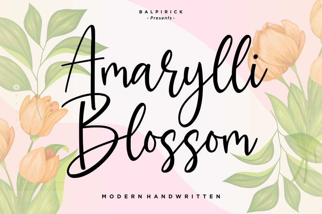 Amarylli Blossom illustration 8
