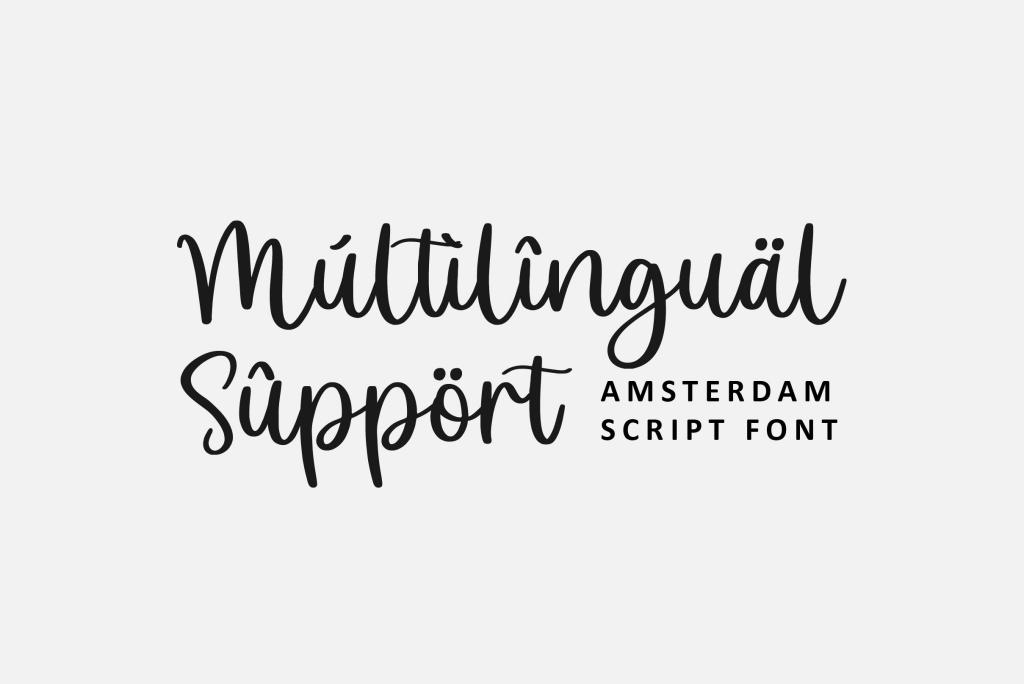 Amsterdam Script Font illustration 6