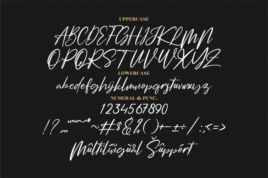Amsterdam Signature Font Family 1001 Fonts amsterdam-signature-font-family-1001-fonts
