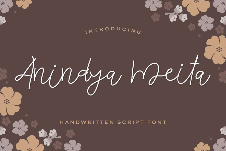 Anindya Meita Demo Font · 1001 Fonts