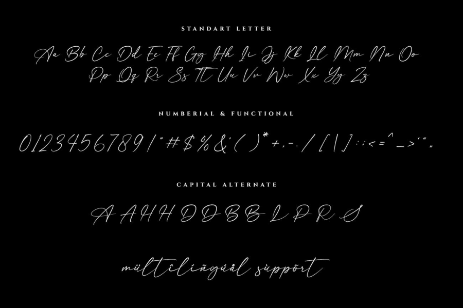 Anisther Font Family · 1001 Fonts