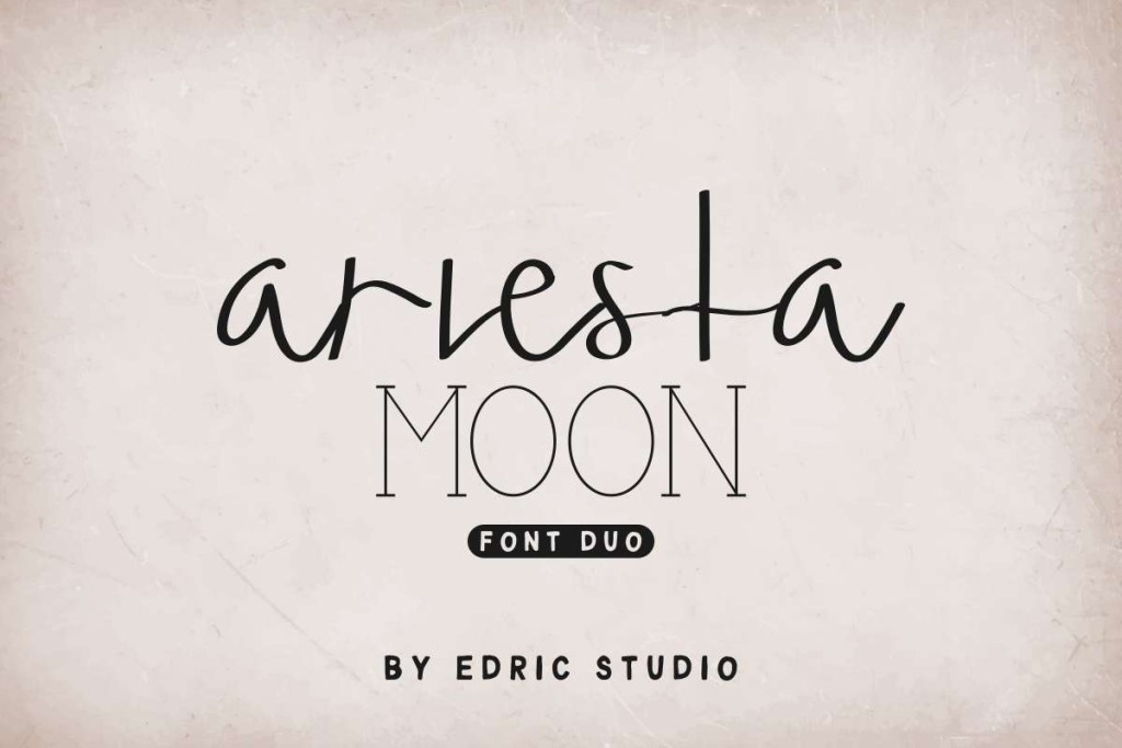 Ariesta Moon Demo illustration 2