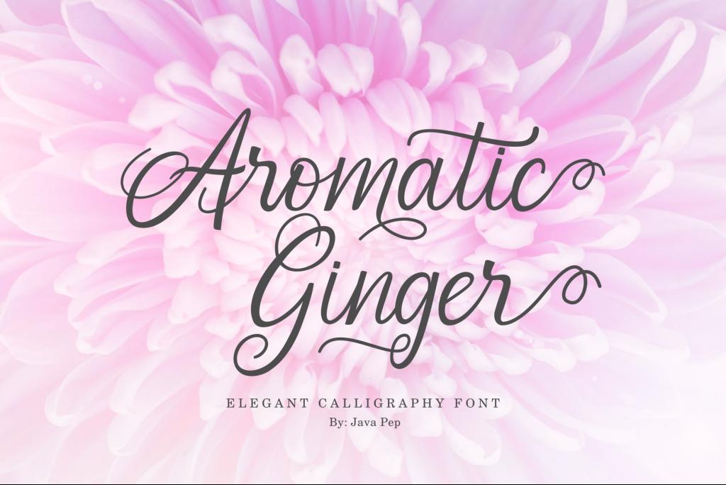 Aromatic Ginger Demo illustration 4