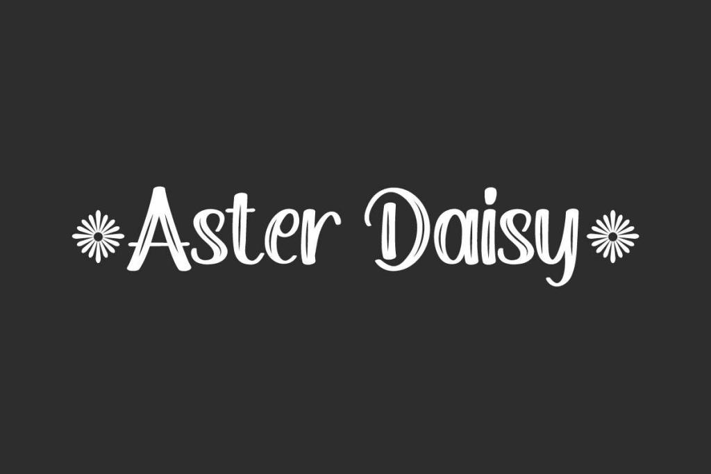 Aster Daisy Demo illustration 2